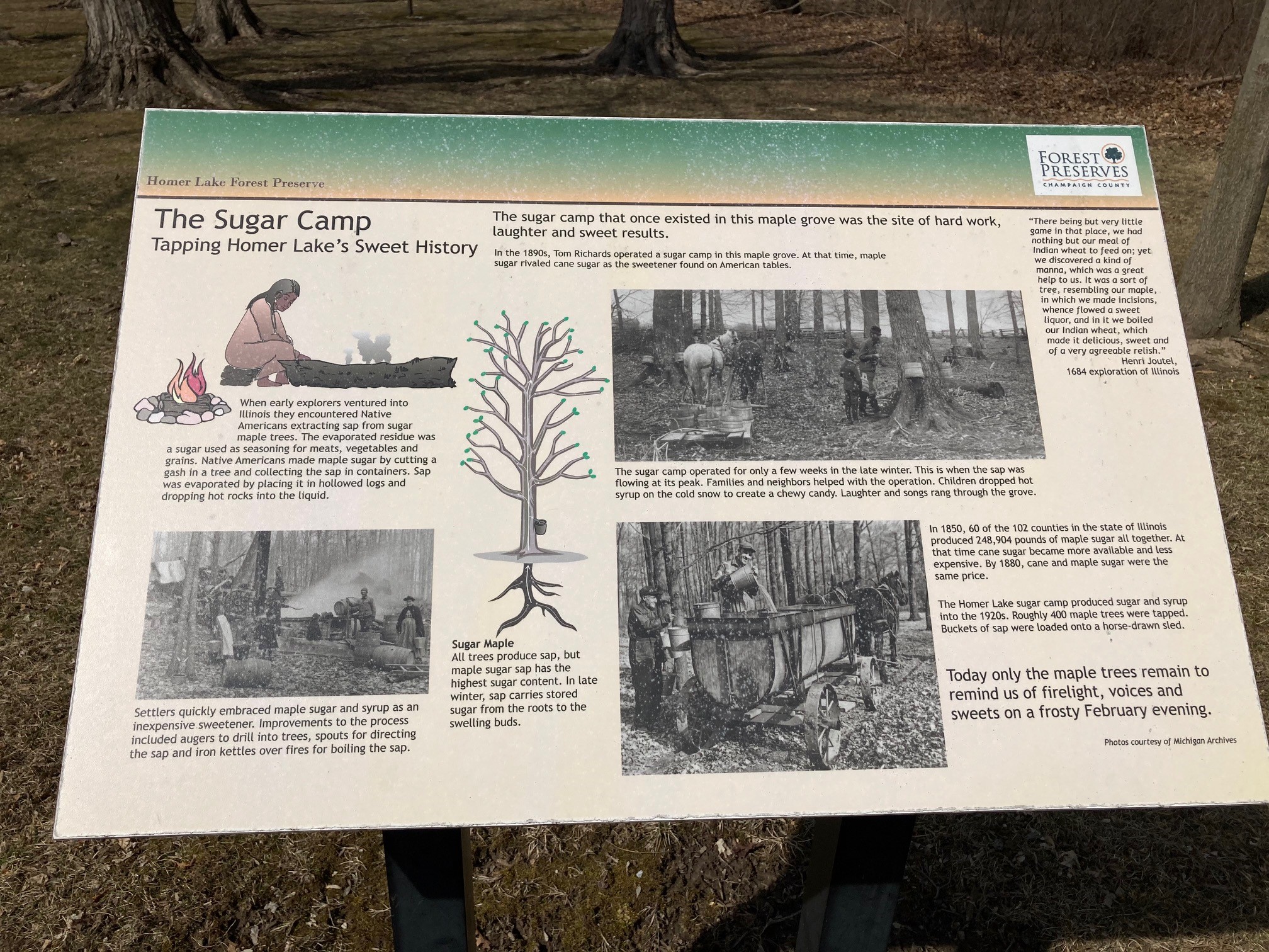 Maple sugar day sign close-up