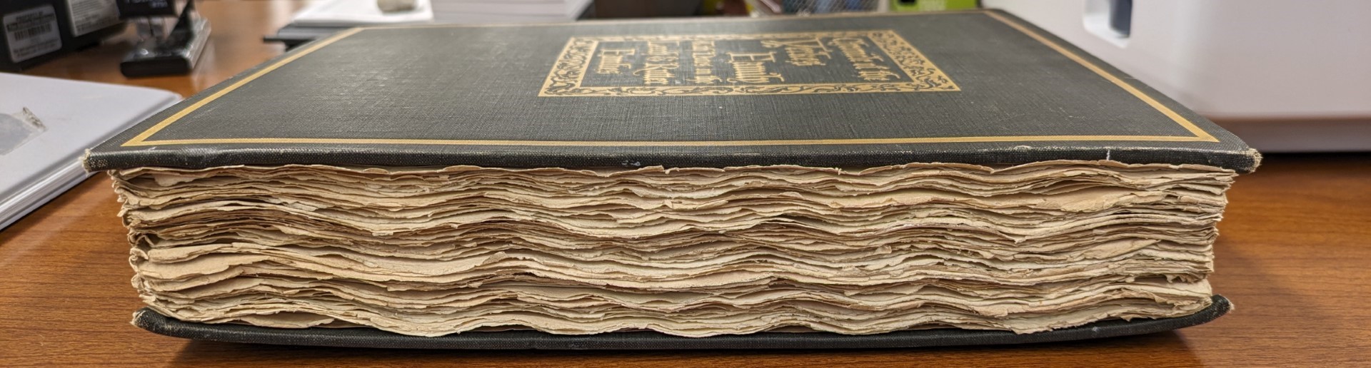 A color photograph of a black, leather bound book with deckled (rough appearing) edges to the paper.