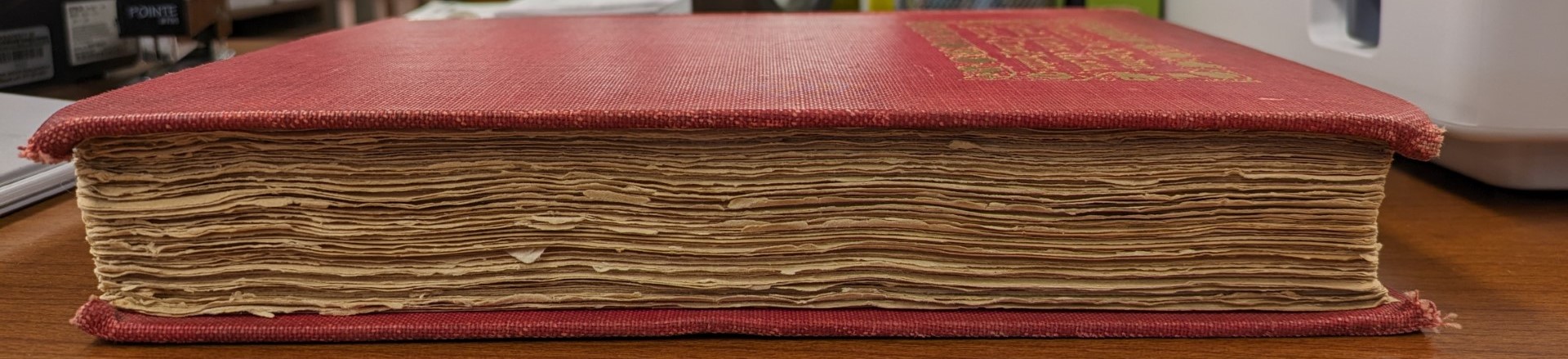 A color photograph of a red leather bound book with brown, deckled paper edges.