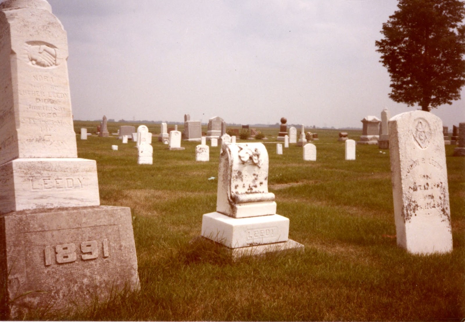 Color photograph of a cemetery.