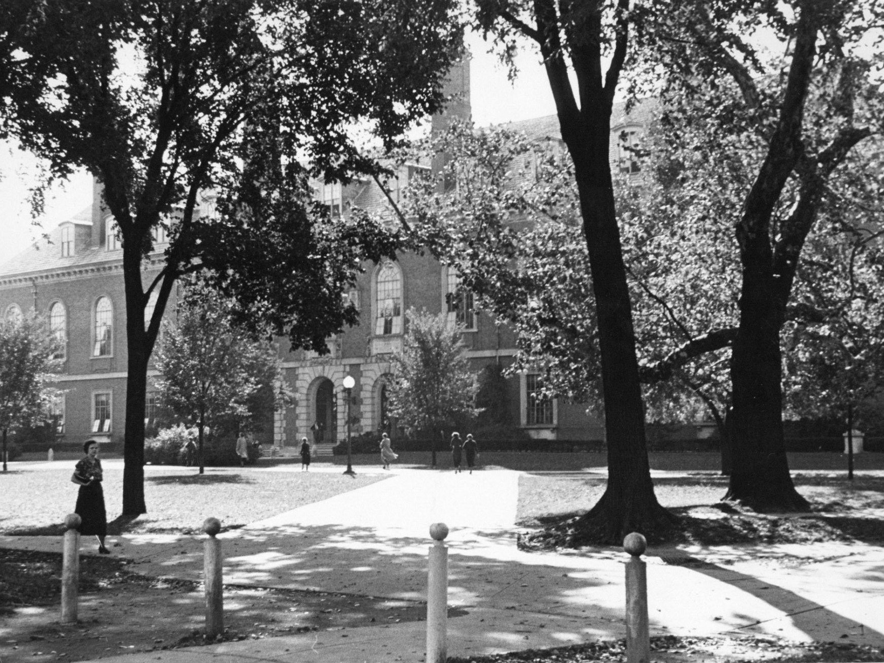 University of Illinois Library with tall trees visible in the foreground.