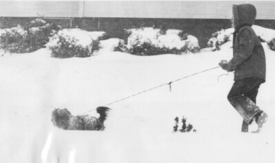 A black and white photograph of a child walking their small down through the snow.