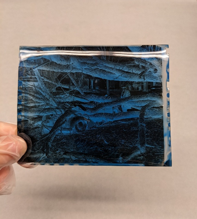 Color photograph showing a negative that is warping. It is at the 2nd level of degradation due to vinegar syndrome.