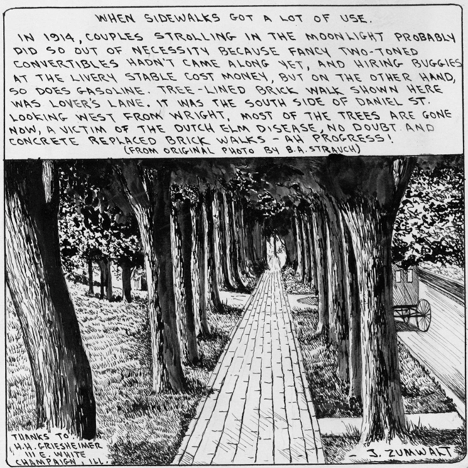 A black and white cartoon illustration of a brick sidewalk lined by trees. The text on the cartoon reads, "When sidewalks got a lot of use. In 1914, couples strolling in the moonlight probably did so out of necessity because fancy two-toned convertibles hadn't came along yet, and hiring buggies at the livery stable cost money, but on the other hand, so does gasoline. Tree-lined brick walk shown here was lover's lane. It was the south side of Daniel St. looking west from Wright, most of the trees are gone now, a victim of the Dutch Elm disease, no doubt. And concrete replaced brick walks - ah progress! (From original photo by B.A. Strauch).