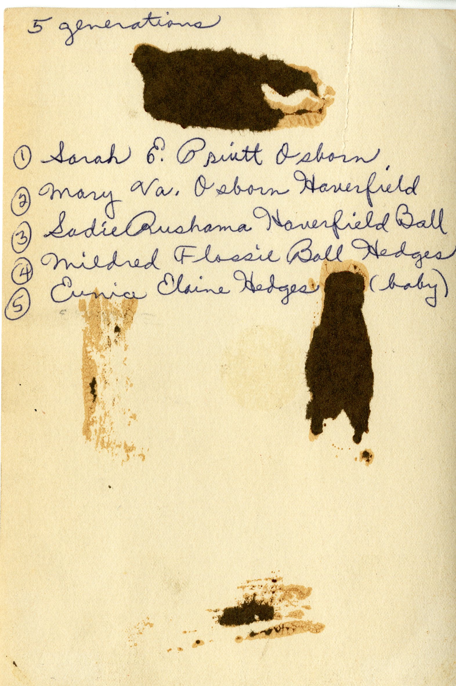 The reverse of the photograph, names of women pictured are listed from oldest to youngest.