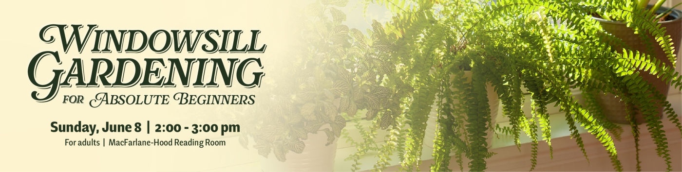 Windowsill Gardening for Absolute Beginners on Sunday, June 8 at 2:00 pm