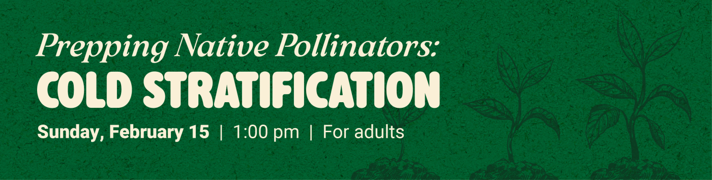Prepping Native Pollinators: Cold Stratification on Sunday, February 15 at 1:00 pm