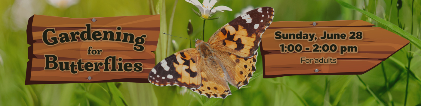 Graphic for Gardening for Butterflies