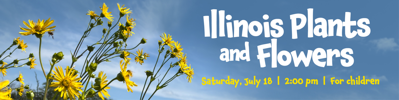 Graphic for Illinois Plants and Flowers event