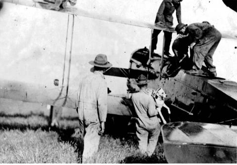 Bing, the parachuting dog, being carried aboard a plane.