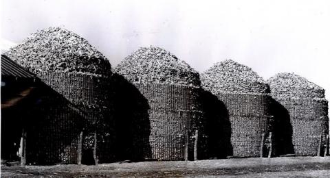 Four emergency corn cribs on Rome Mast's farm, 1948
