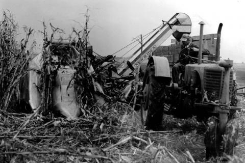 C.A. Hurst, Champaign,IL, breaking in a new picker, 1941