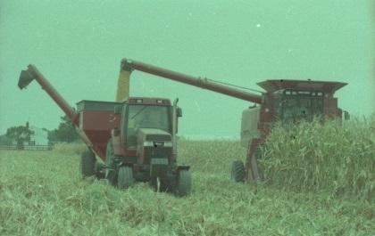 Bill Berbaum drives a conbine, left, with his neighbor Philip Ross as his brother Jeff Berbaum steers a tractor pulling an Auger, 1998