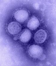Centers for Disease Control and Prevention (2010). H1N1 Flu Image, blue. Retrieved March 2015 from: http://www.cdc.gov/h1n1flu/images/B00528_H1N1_flu_blue_lrg.jpg