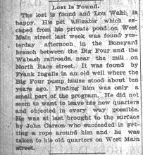 'Alligator found' published in Champaign Daily News, June 15, 1898